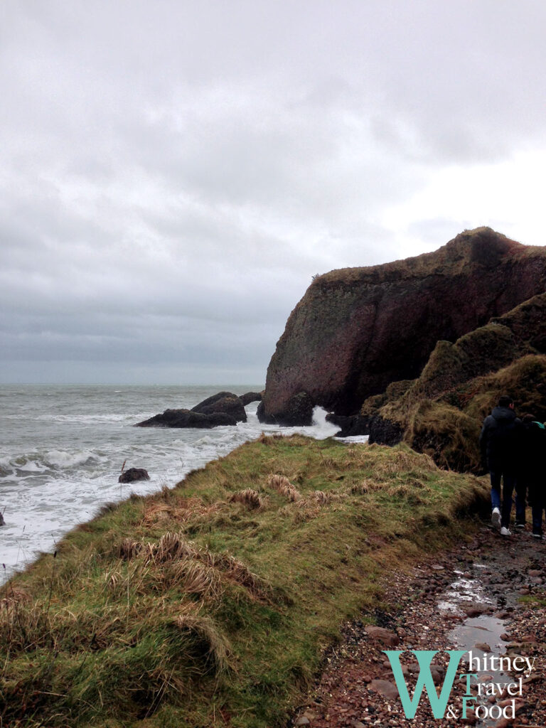 Giants Causeway and Carrick a Rede 6