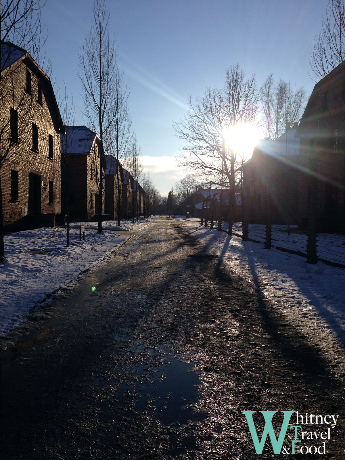 auschwitz concentration camp 11