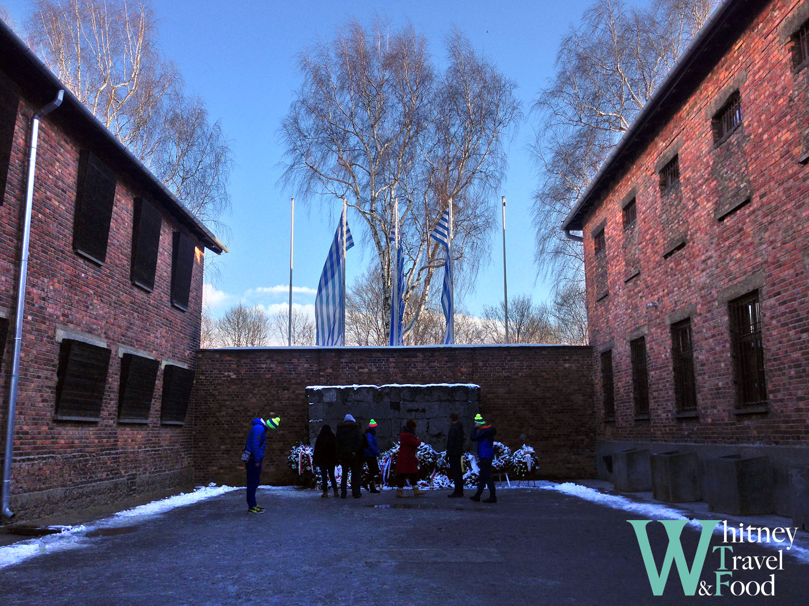 auschwitz concentration camp 9