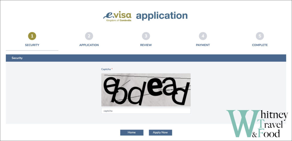 cambodia e visa fill out the form 2