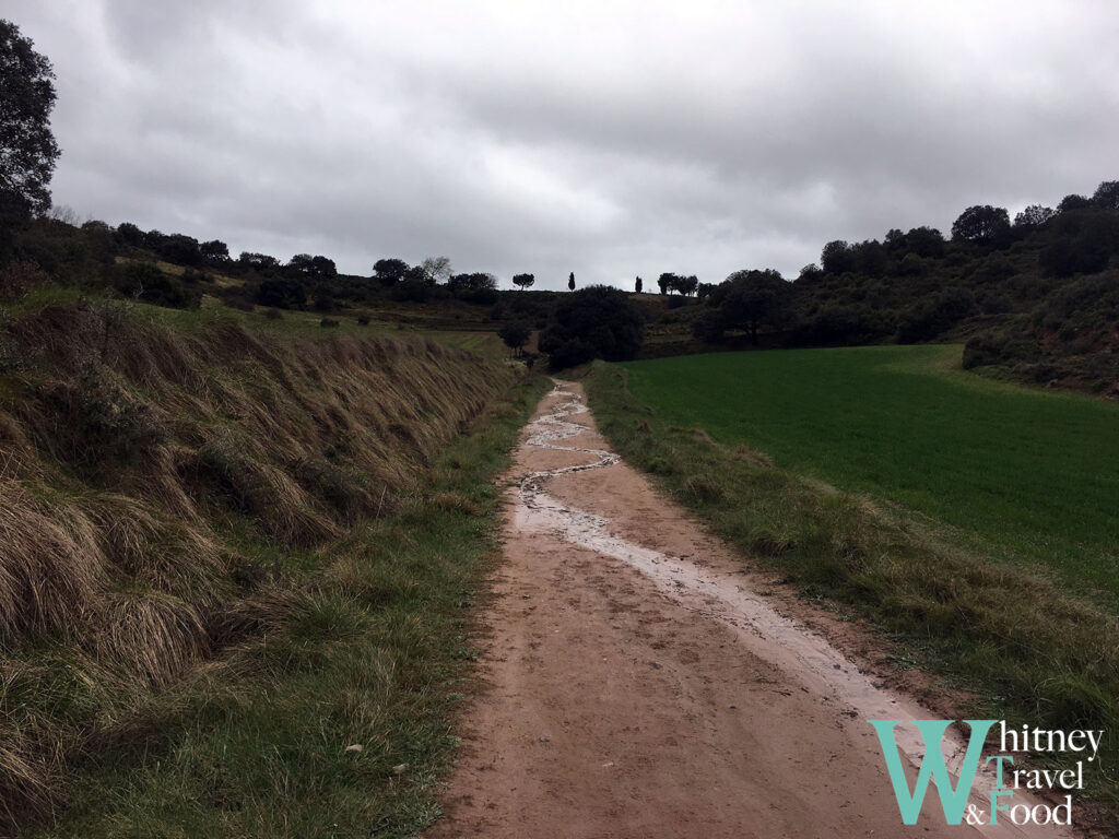 camino de santiago day 10 3