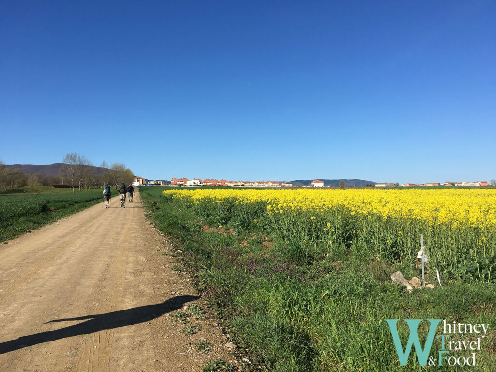 camino de santiago day 11 4