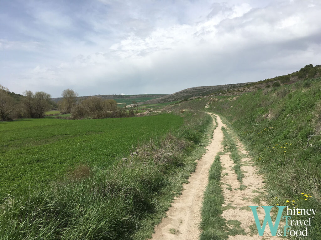 camino de santiago day 16 4