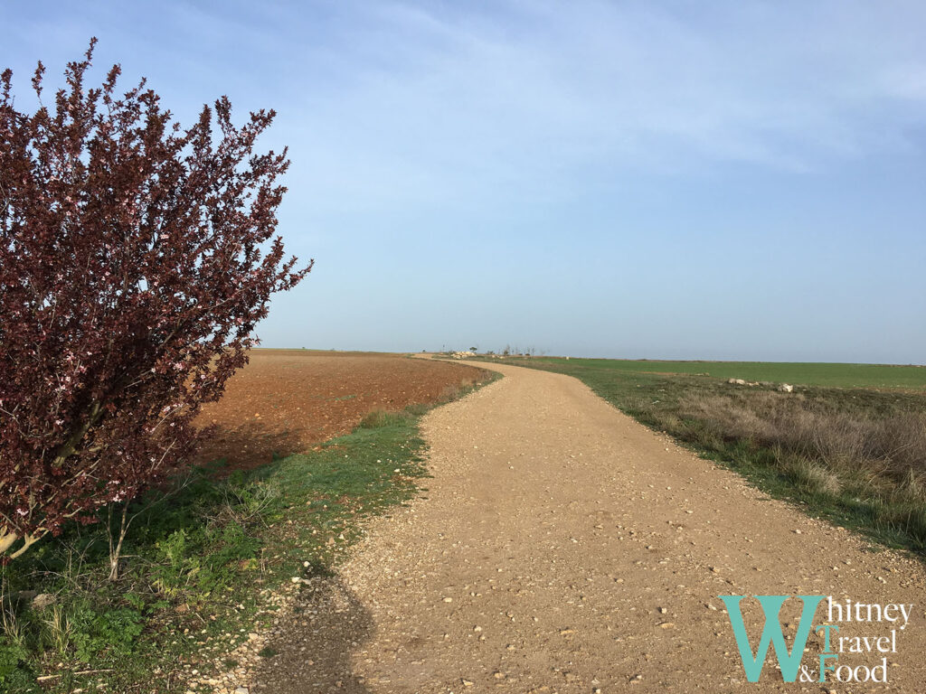 camino de santiago day 17 5