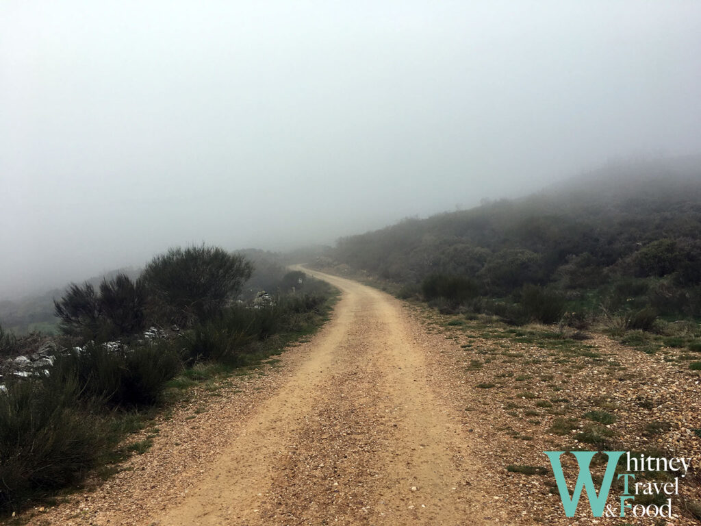 camino de santiago day 26 2