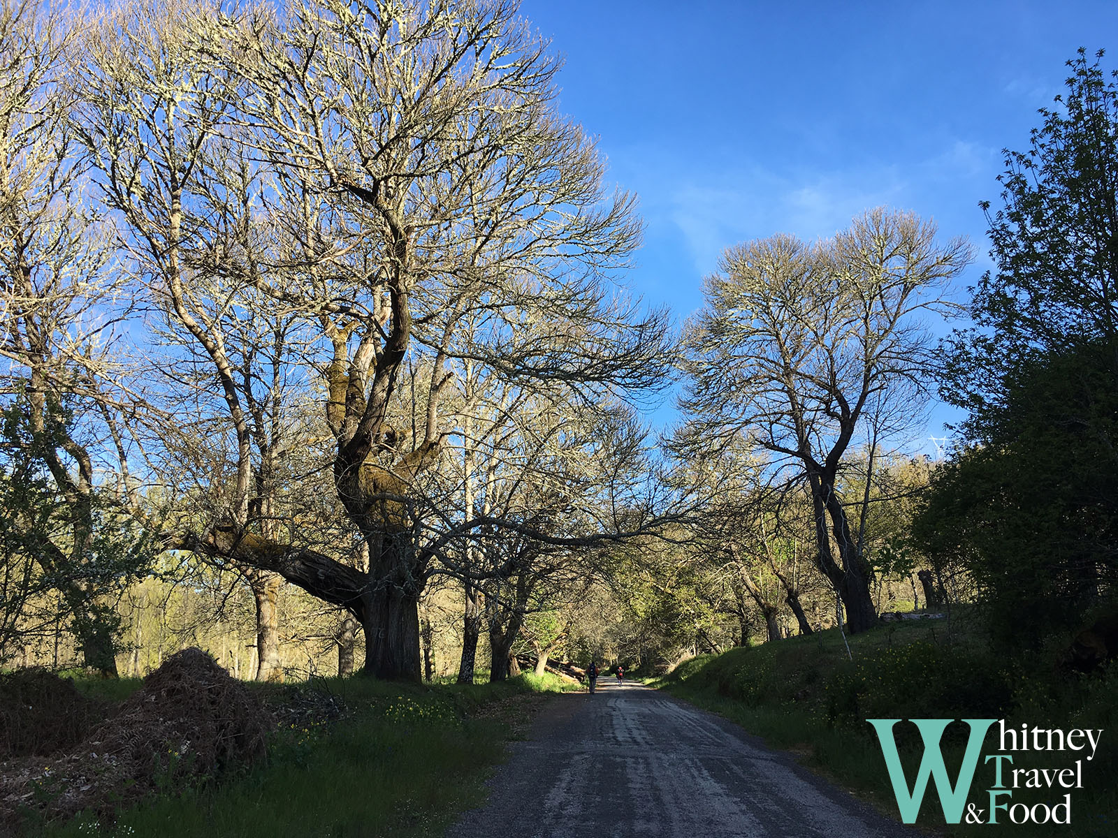 camino de santiago day 28 2