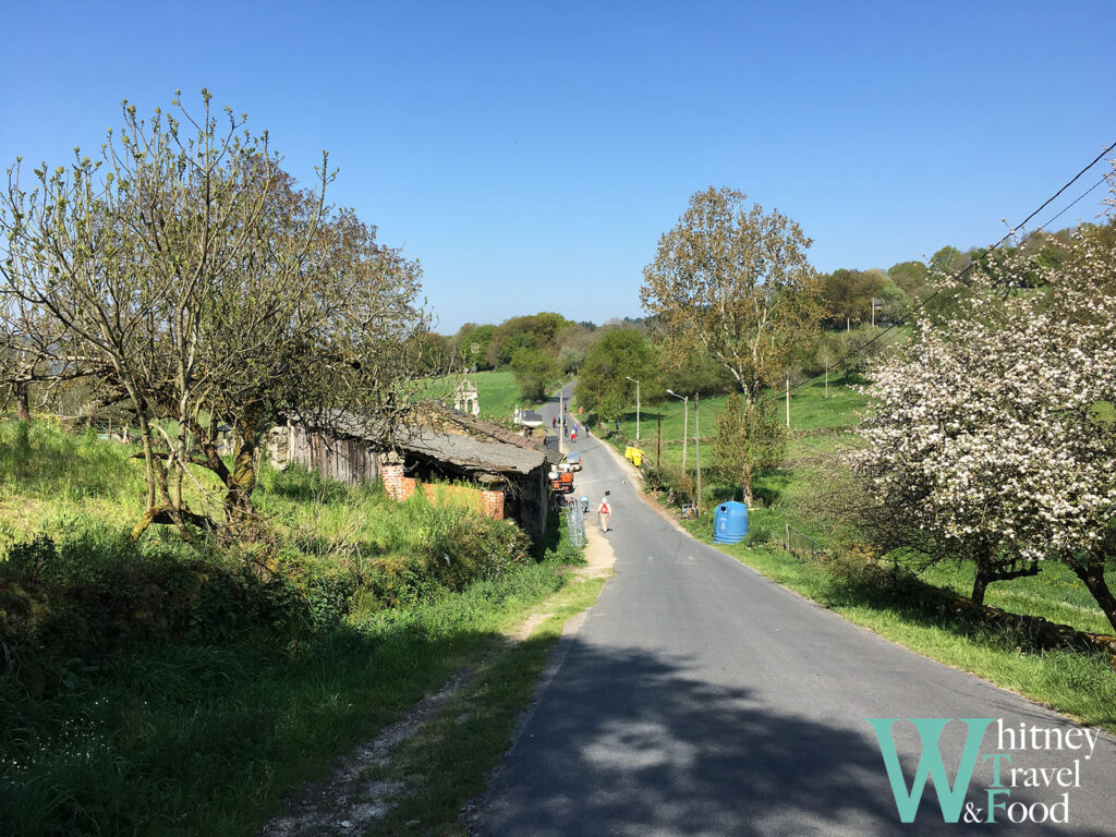 camino de santiago day 31 4