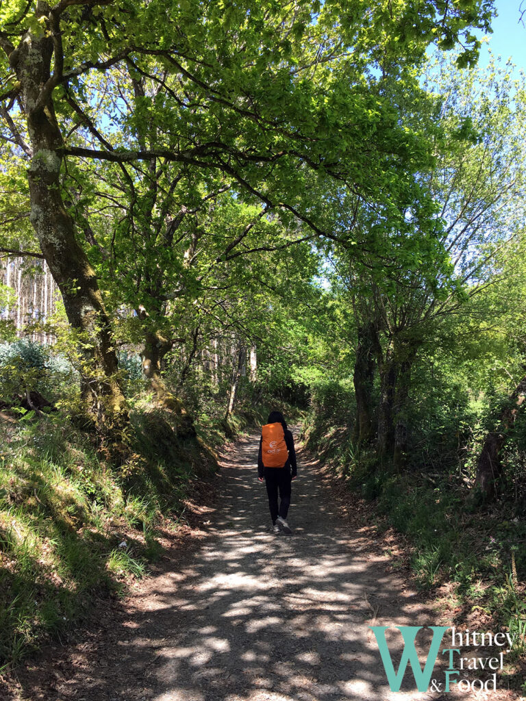 camino de santiago day 34 5