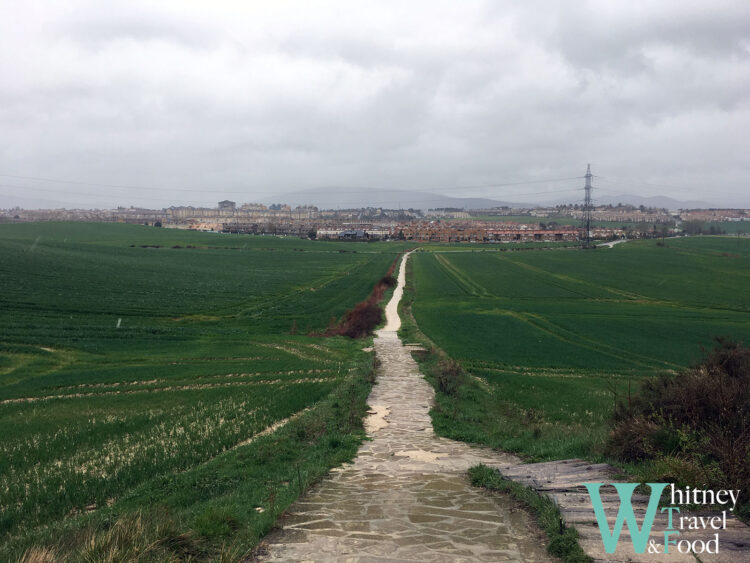 camino de santiago day 4 4