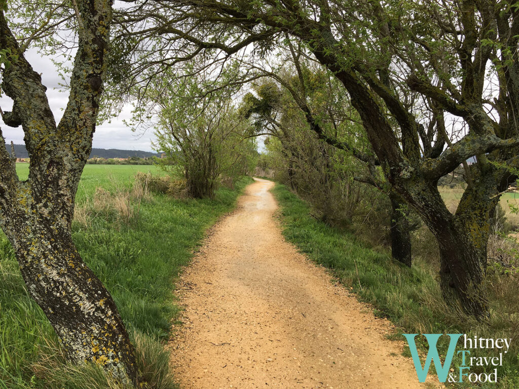 camino de santiago day 5 6