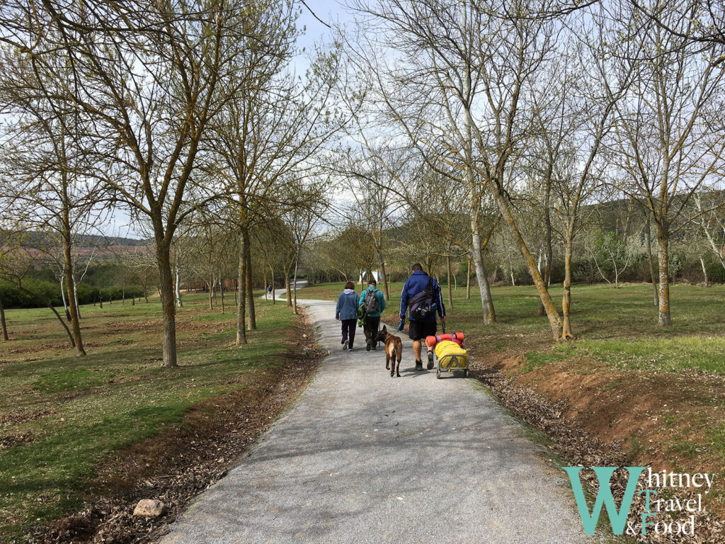 camino de santiago day 9 9