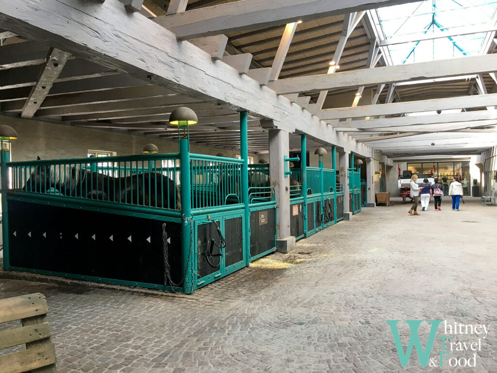 carlsberg brewery visit 16