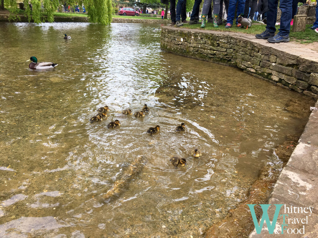 英國威爾斯自駕行-第1天:柯茲窩裡著名景點 水上伯頓與拜伯里 13 cotswolds 13