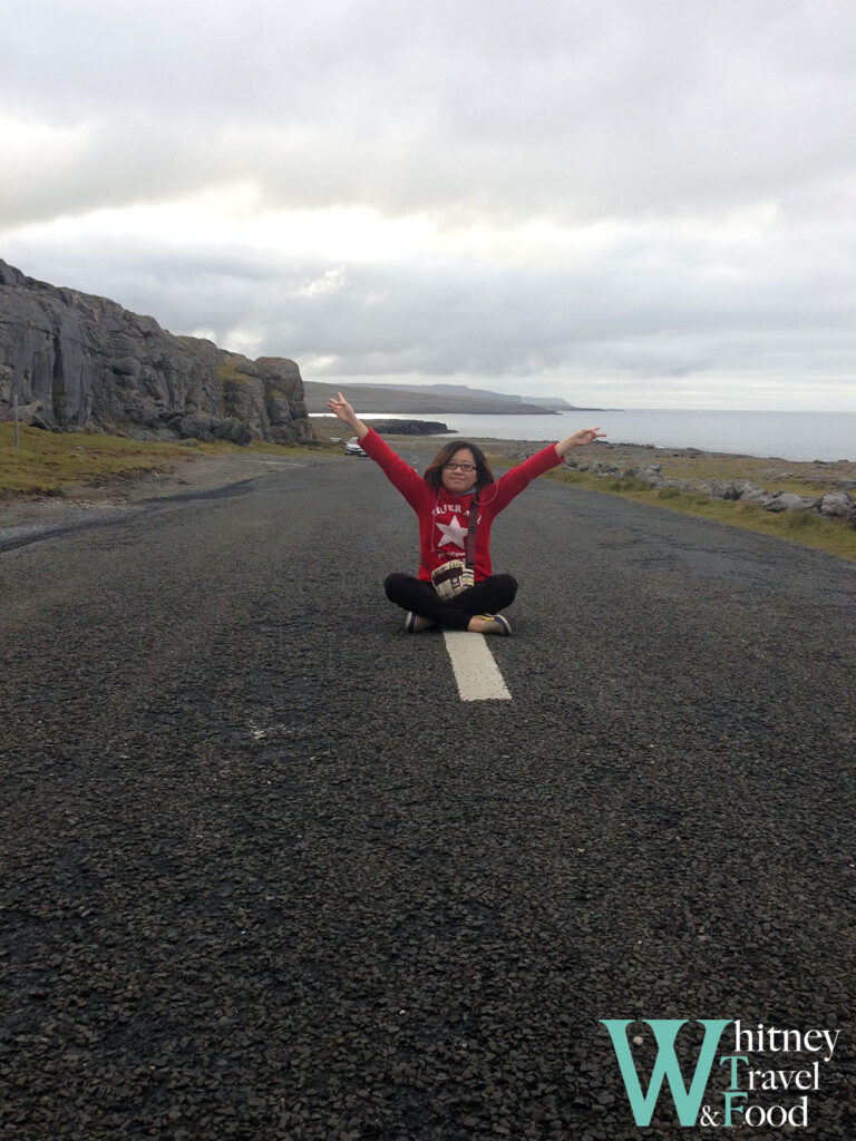 galway cliff of moher 16