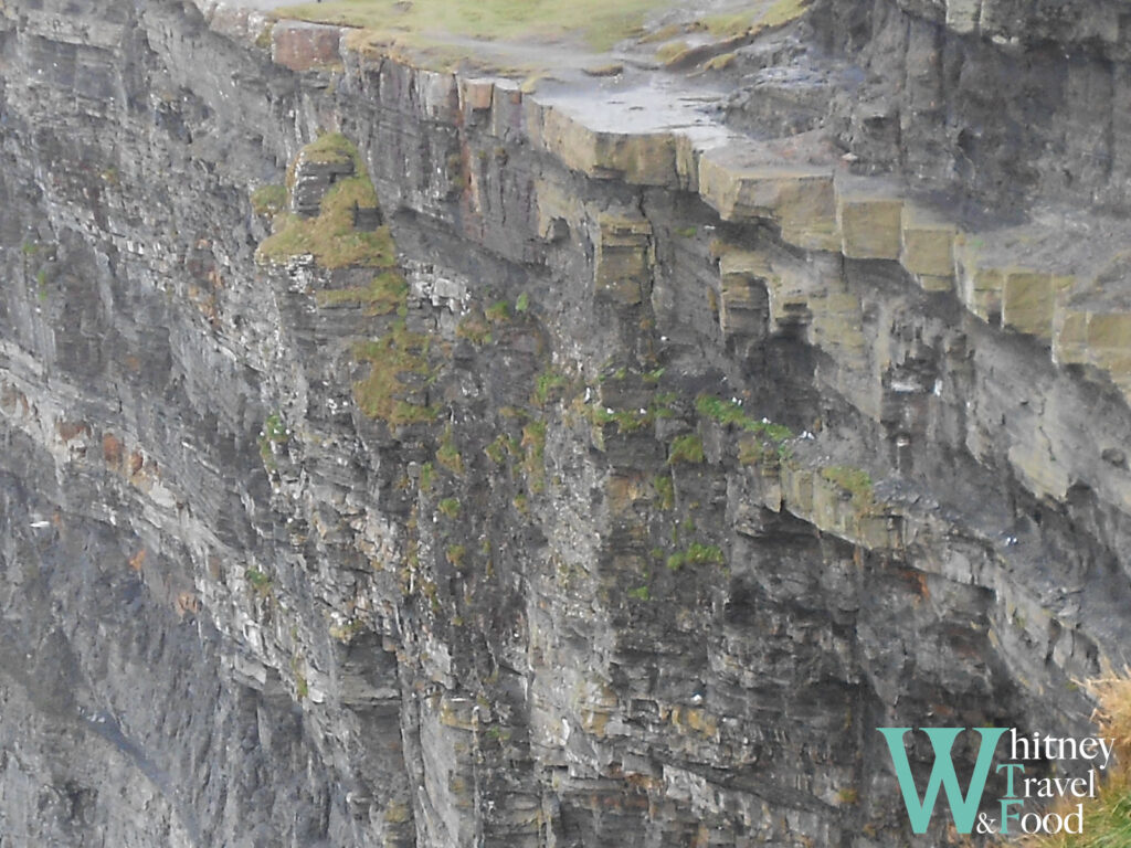 galway cliff of moher 9