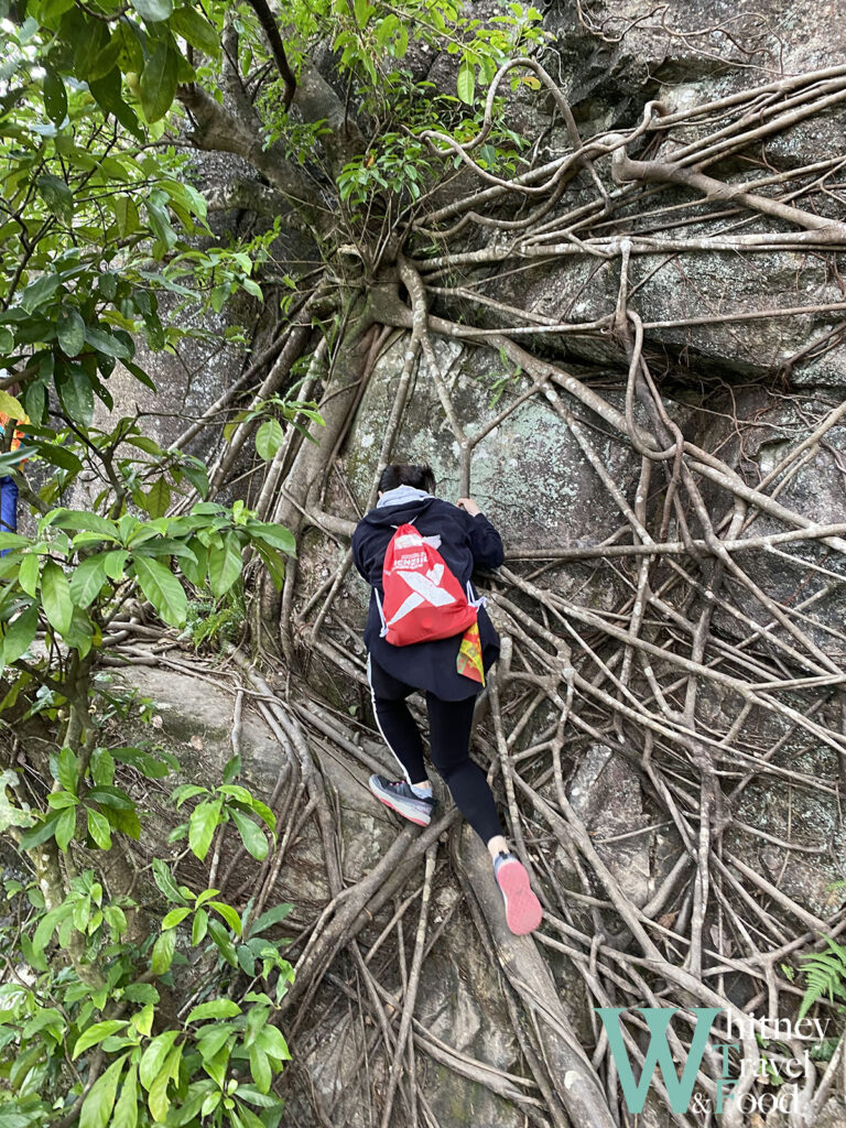 hiking in shenzhen 23