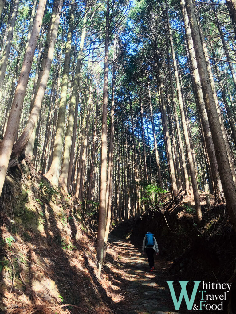 kumano kodo japan day 2 19