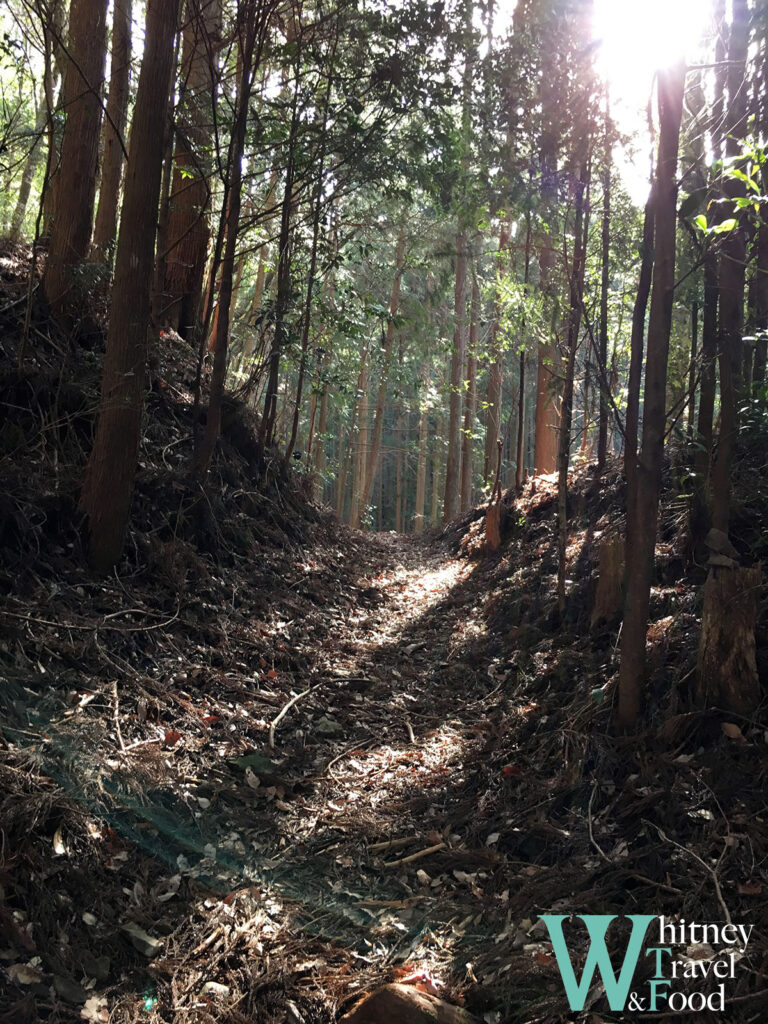 kumano kodo japan day 3 11