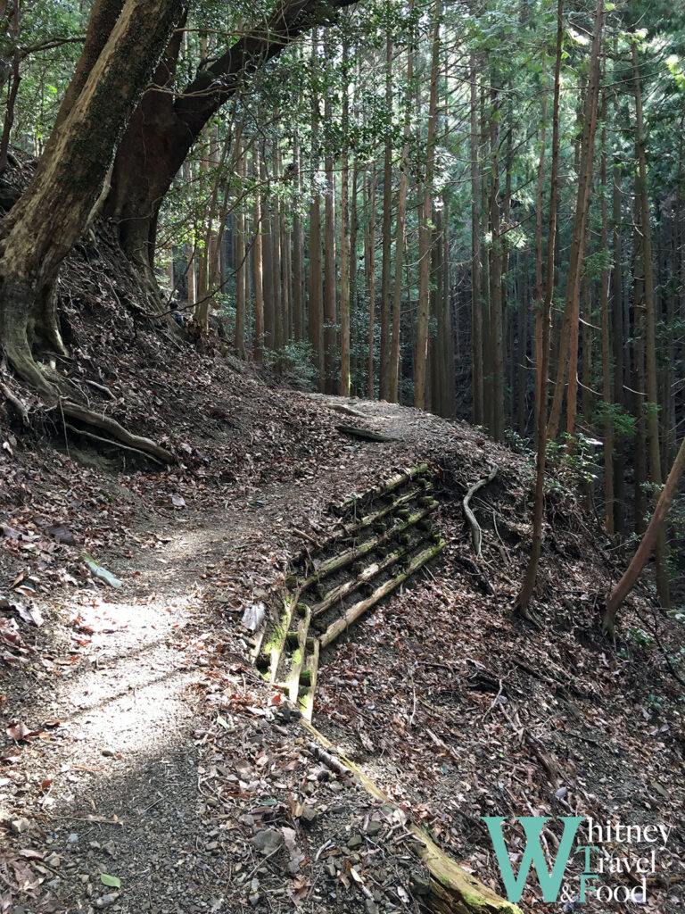 kumano kodo japan day 3 12