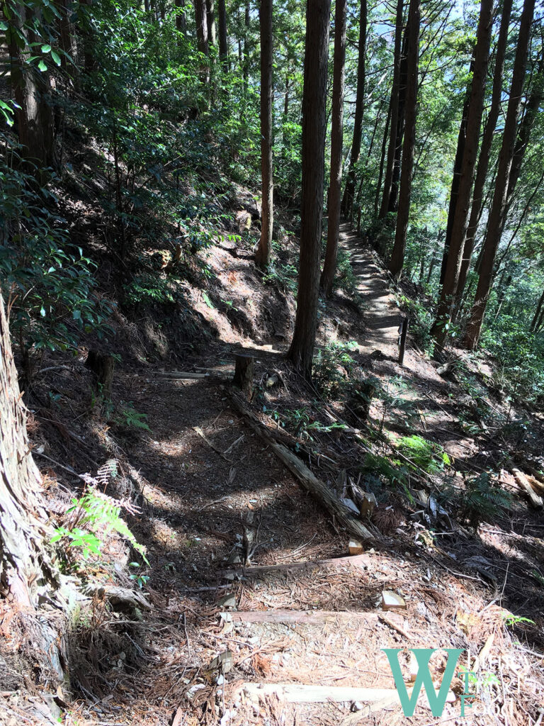 kumano kodo japan day 3 15