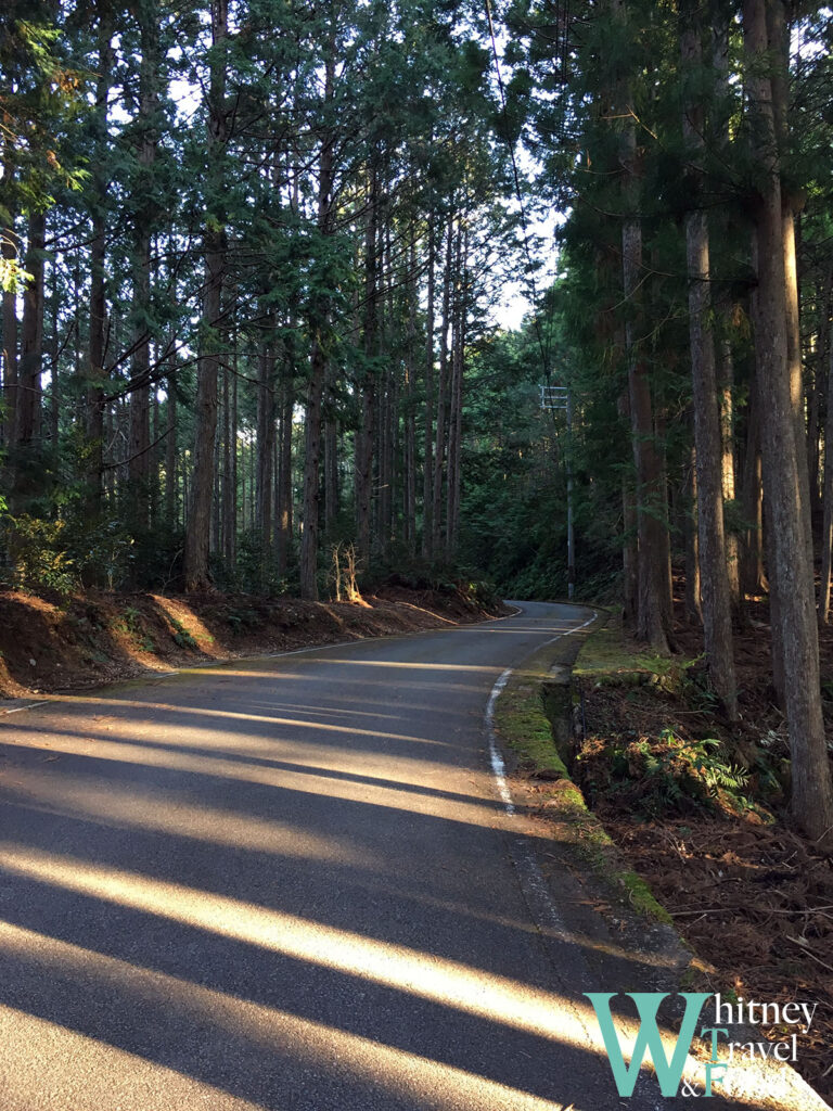 kumano kodo japan day 3 23