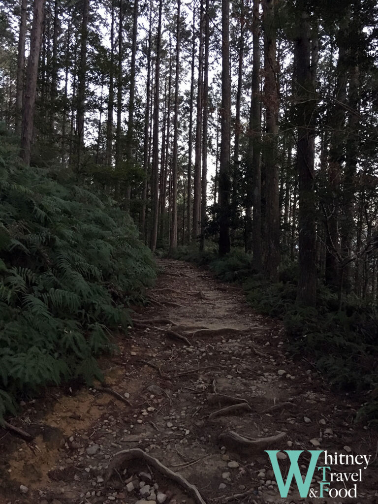 kumano kodo japan day 3 24