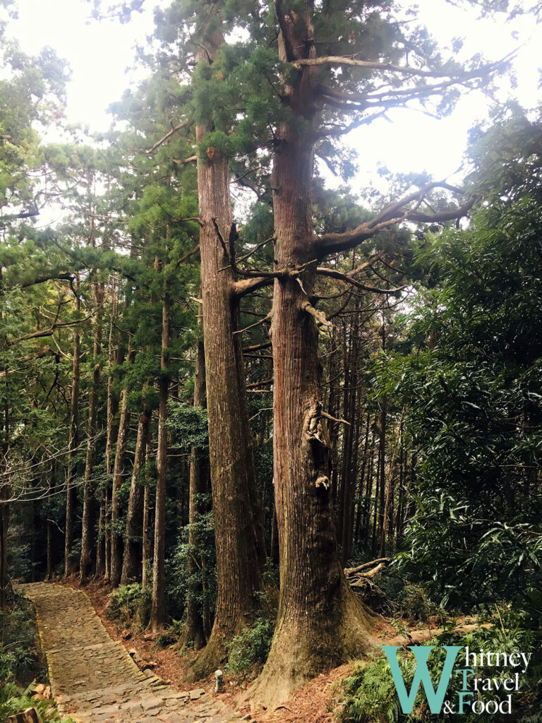 kumano kodo japan day 5 6