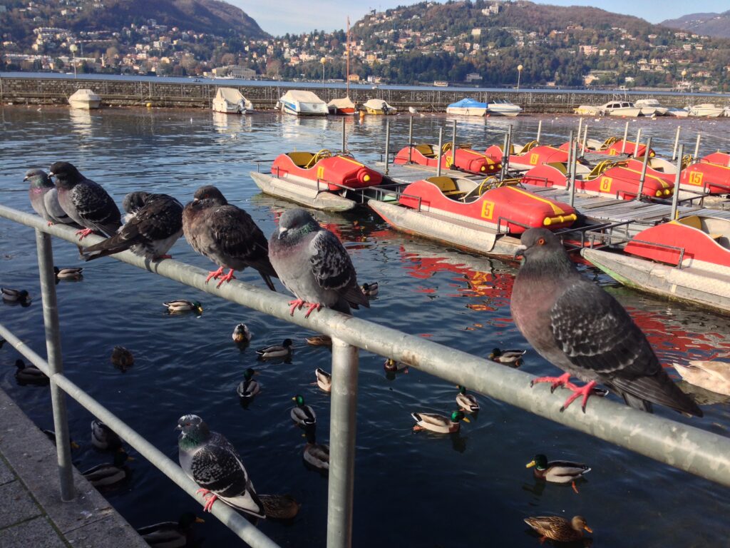 lake como italy 4