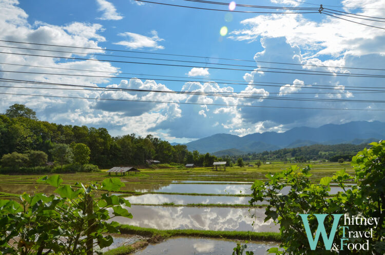 northern thailand scooter route 1 16