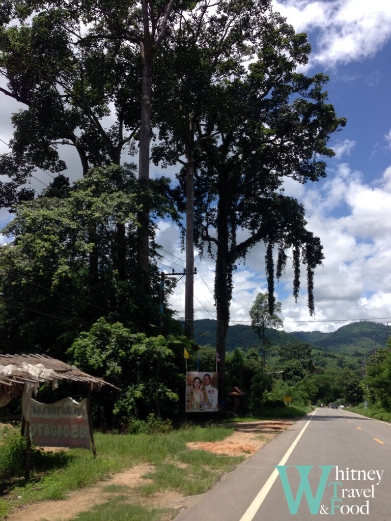 northern thailand scooter route 1 2