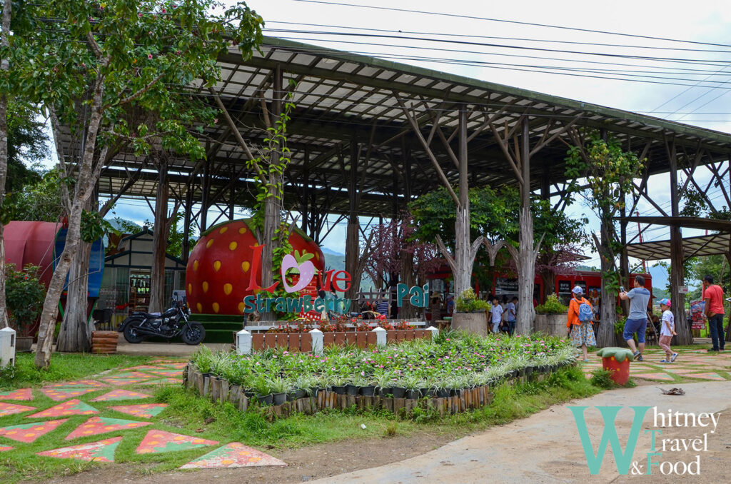 northern thailand scooter route 2 17