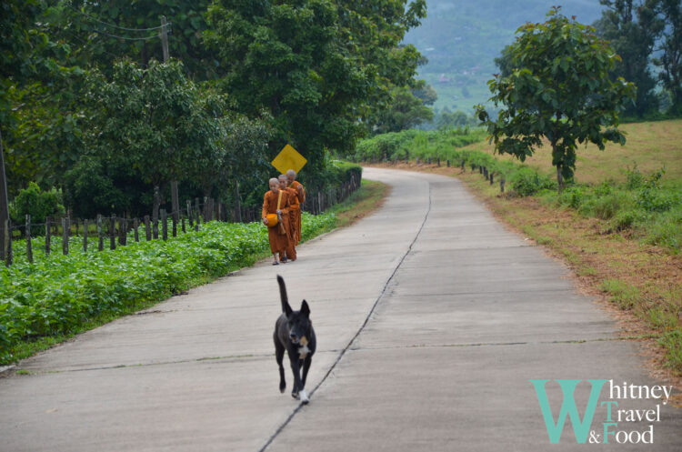 northern thailand scooter route 2 7