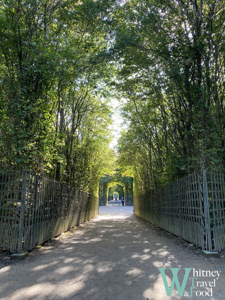 palace of versailles summer 19