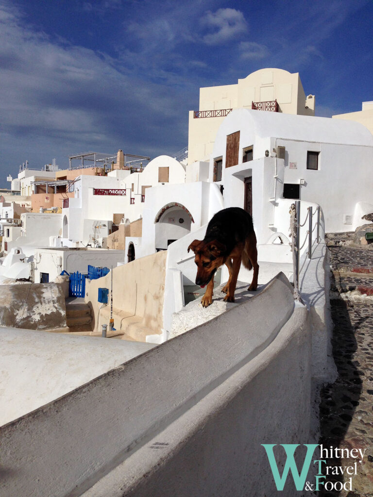 santorini island oia 29