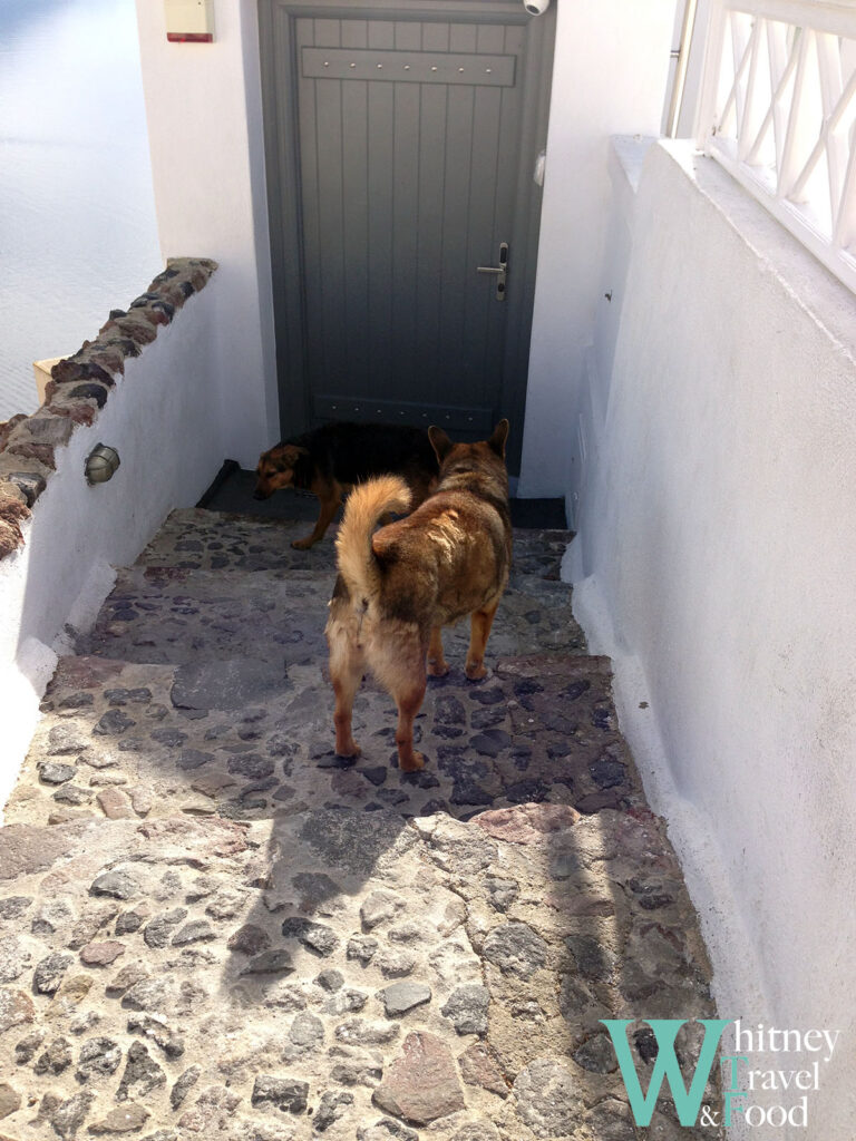 santorini island oia 30