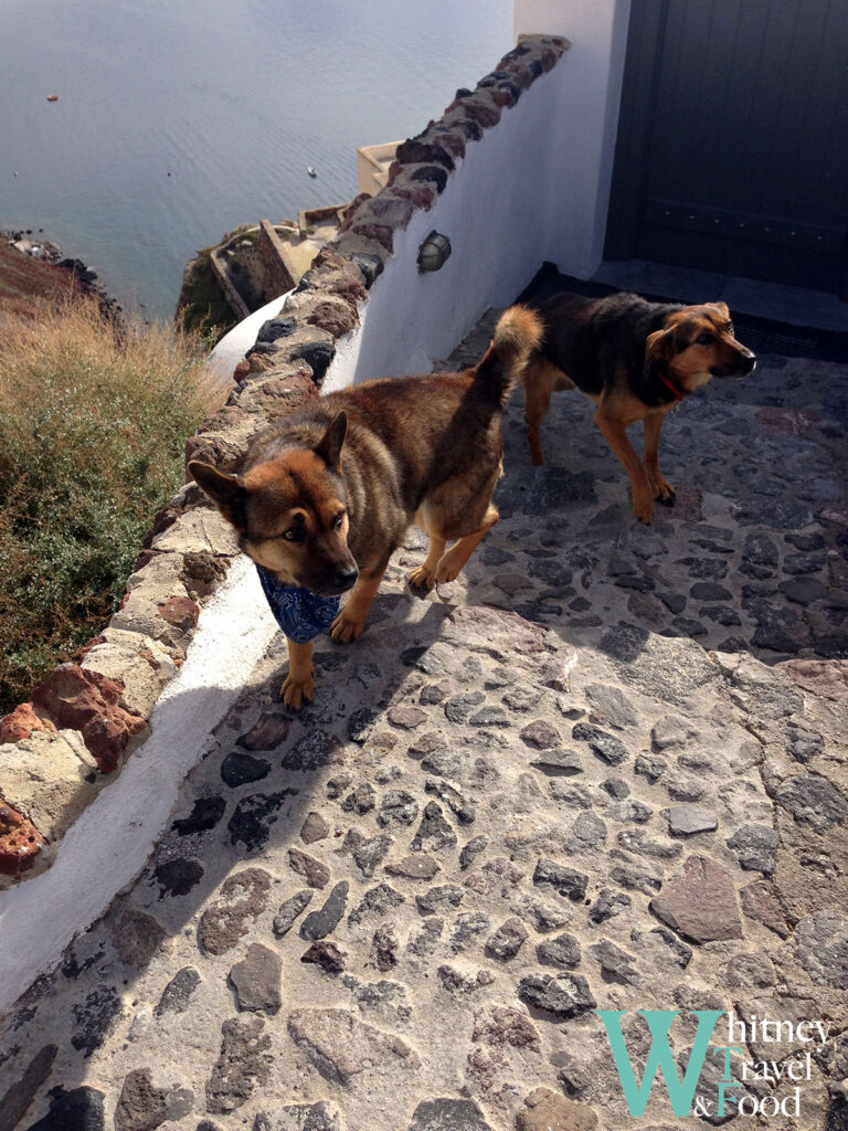 santorini island oia 31