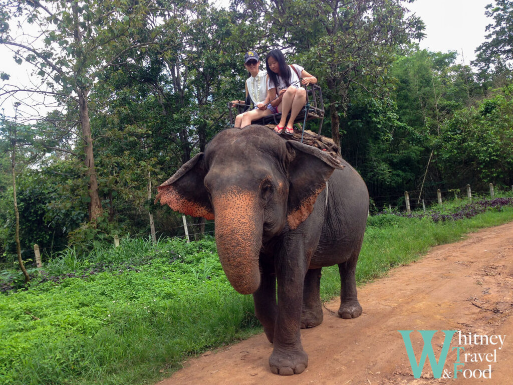 thing to do in chiang mai 5