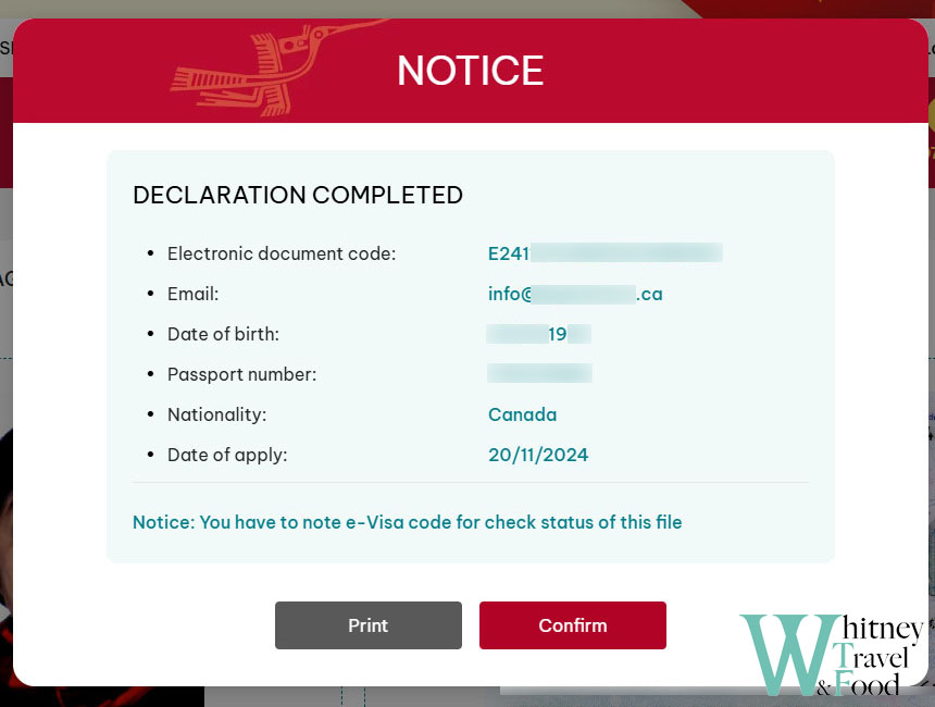 vietnam e visa fill out the form 4