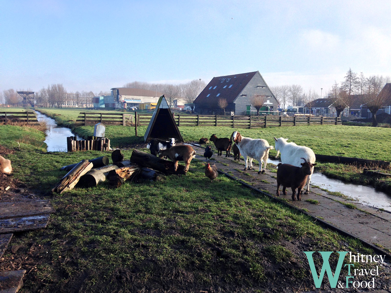 zaanse schans 9